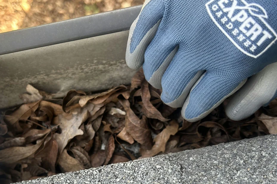 Towson Gutter Cleaning