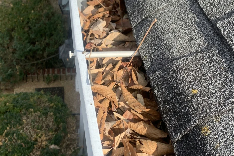 Towson Gutter Cleaning