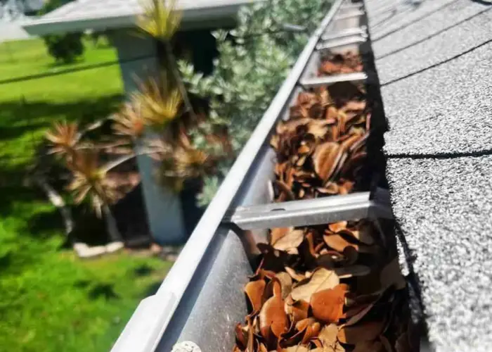 Towson gutter cleaning home page